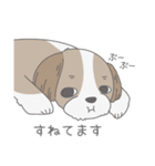 のんびりシーズー犬の日常2（個別スタンプ：20）