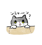 かまってほしい猫 ねね（個別スタンプ：18）