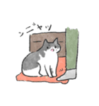 かまってほしい猫 ねね（個別スタンプ：36）