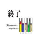 使って学べるスタンプ 確認培地（個別スタンプ：16）