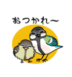 毎日使える小鳥のあいさつ【日常ほんわか】（個別スタンプ：2）