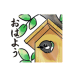 毎日使える小鳥のあいさつ【日常ほんわか】（個別スタンプ：23）