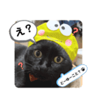 黒猫 cocona3（個別スタンプ：6）