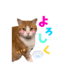 ぼくはライトくん（個別スタンプ：1）