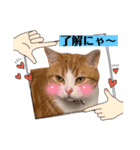 ぼくはライトくん（個別スタンプ：2）