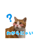 ぼくはライトくん（個別スタンプ：3）