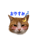 ぼくはライトくん（個別スタンプ：6）