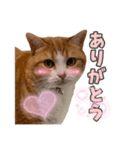 ぼくはライトくん（個別スタンプ：7）