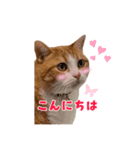 ぼくはライトくん（個別スタンプ：8）