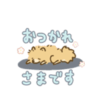 ポメらんど（個別スタンプ：40）