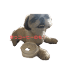まつ毛の長いシーズーメイちゃん（個別スタンプ：20）