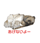 まつ毛の長いシーズーメイちゃん（個別スタンプ：35）