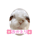 michochii ice（個別スタンプ：2）