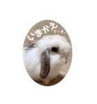 michochii ice（個別スタンプ：8）