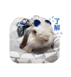 michochii ice（個別スタンプ：14）