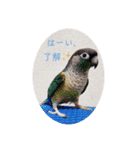 michochii ice（個別スタンプ：15）