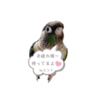 michochii ice（個別スタンプ：23）