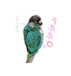 michochii ice（個別スタンプ：25）