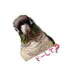 michochii ice（個別スタンプ：28）