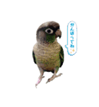 michochii ice（個別スタンプ：29）