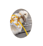 michochii ice（個別スタンプ：37）