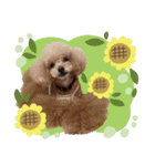 あさくん＆りょうちゃんstamp（個別スタンプ：13）
