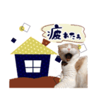 タイガー＆レオ（個別スタンプ：6）
