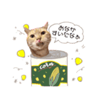 タイガー＆レオ（個別スタンプ：8）