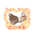 タイガー＆レオ（個別スタンプ：16）