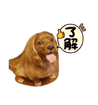 えーすのスタンプ2（個別スタンプ：3）