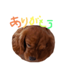 えーすのスタンプ2（個別スタンプ：6）