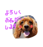 えーすのスタンプ2（個別スタンプ：8）