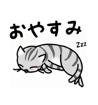夏のサバトラ猫（個別スタンプ：20）