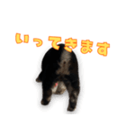 博多もつなべスタンプ①（個別スタンプ：16）