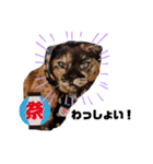 さびっ娘倶楽部 パート2（個別スタンプ：6）