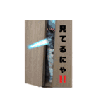 さびっ娘倶楽部Part5（個別スタンプ：13）