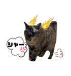さびっ娘倶楽部Part5（個別スタンプ：16）