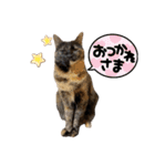 さびっ娘倶楽部Part5（個別スタンプ：18）