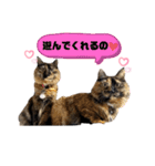 さびっ娘倶楽部Part5（個別スタンプ：22）