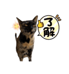 さびっ娘倶楽部Part5（個別スタンプ：23）