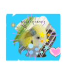 キューちゃんだいすき（個別スタンプ：1）