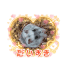 らくたんのほっこりスタンプ☆(パンダ模様)（個別スタンプ：1）