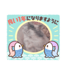 らくたんのほっこりスタンプ☆(パンダ模様)（個別スタンプ：8）