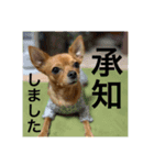 Marony part3（個別スタンプ：6）
