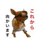 Marony part3（個別スタンプ：10）