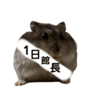 色々といそがしいミッシェル（個別スタンプ：4）
