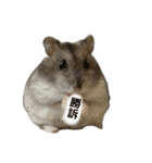 色々といそがしいミッシェル（個別スタンプ：11）
