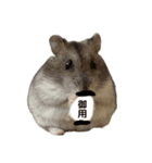 色々といそがしいミッシェル（個別スタンプ：14）