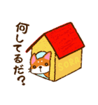 柴犬そらこ【遠州弁】静岡県（個別スタンプ：23）