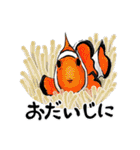 海のいきもの川のいきもの（個別スタンプ：8）
